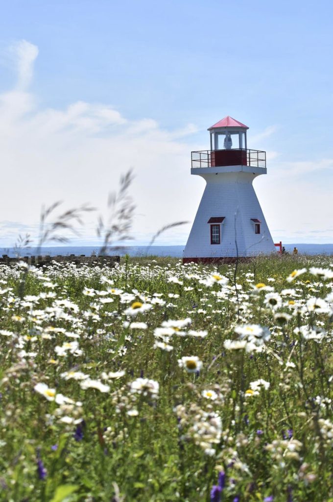 a lighthouse sitting at the end of a flower field in gaspésie