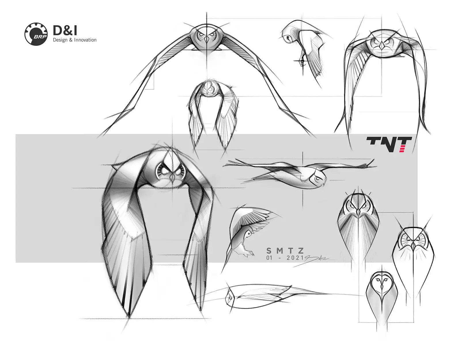 Esquisses de chouettes en vol réalisées par BRP Design & Innovation, montrant différentes perspectives et postures de l’oiseau.